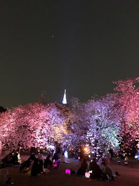 NAKED 桜の新宿御苑 2023に投稿された画像（2023/4/1）