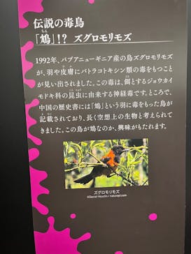 特別展「毒」に投稿された画像（2023/4/1）