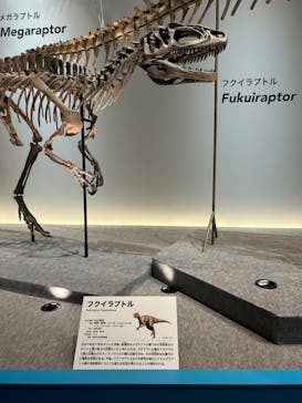 特別展「恐竜博2023」に投稿された画像（2023/4/1）