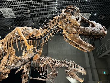 特別展「恐竜博2023」に投稿された画像（2023/4/1）