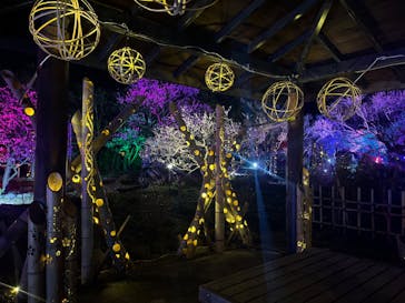 せんだい農業園芸センター　みどりの杜に投稿された画像（2023/4/1）