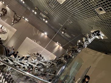 国立科学博物館に投稿された画像（2023/4/1）