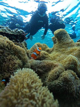 宮古島 ADVENTURE PiPi（ミヤコジマ アドベンチャー ピピ）に投稿された画像（2023/4/1）