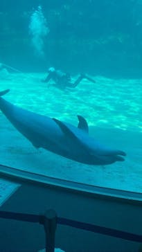 名古屋港水族館に投稿された画像（2023/4/1）