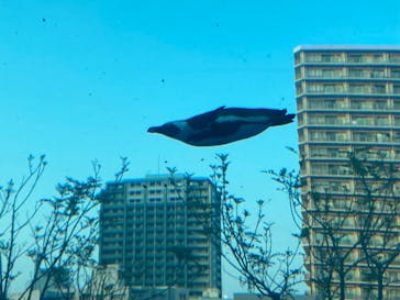 サンシャイン水族館に投稿された画像（2023/4/1）