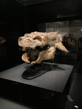 特別展「恐竜博2023」に投稿された画像（2023/4/1）