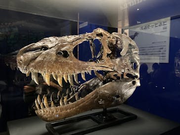 特別展「恐竜博2023」に投稿された画像（2023/4/1）