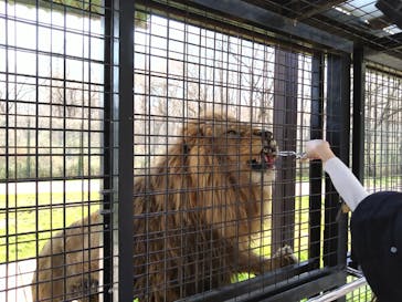 那須サファリパークに投稿された画像（2023/4/1）