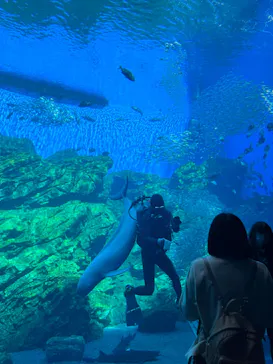 仙台うみの杜水族館に投稿された画像（2023/4/1）