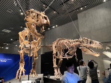 特別展「恐竜博2023」に投稿された画像（2023/4/1）