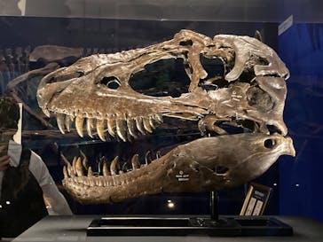 特別展「恐竜博2023」に投稿された画像（2023/4/1）