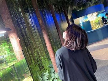 マリンワールド海の中道に投稿された画像（2023/4/1）