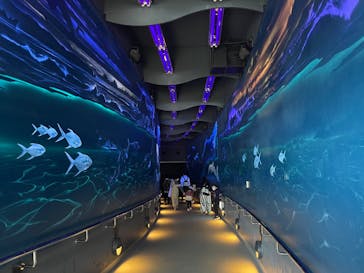 マリンワールド海の中道に投稿された画像（2023/4/1）