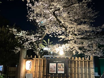 三溪園に投稿された画像（2023/4/1）