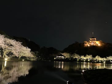 三溪園に投稿された画像（2023/4/1）