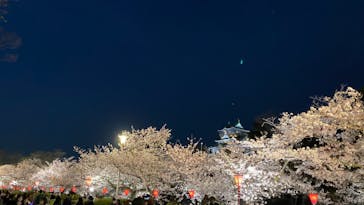 大阪城公園 西の丸庭園に投稿された画像（2023/4/1）