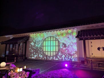 『NAKED FLOWERS 2023 桜 世界遺産・二条城』に投稿された画像（2023/4/1）