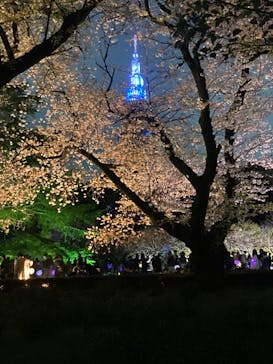 NAKED 桜の新宿御苑 2023に投稿された画像（2023/4/1）