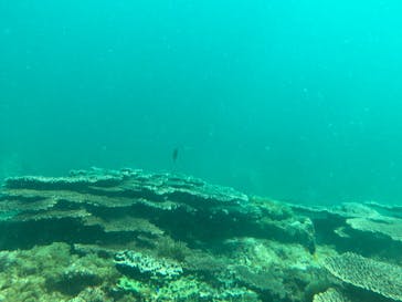 串本海中公園水族館に投稿された画像（2023/4/1）