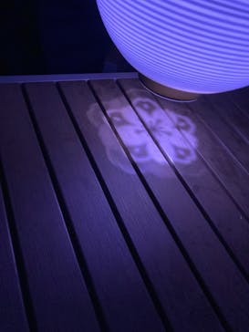 NAKED 桜の新宿御苑 2023に投稿された画像（2023/4/1）