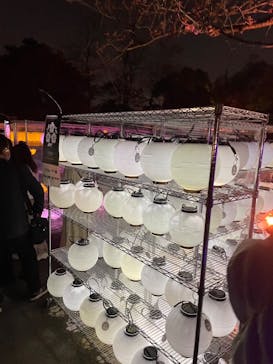 NAKED 桜の新宿御苑 2023に投稿された画像（2023/4/1）