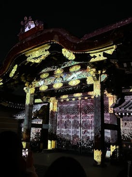 『NAKED FLOWERS 2023 桜 世界遺産・二条城』に投稿された画像（2023/4/1）