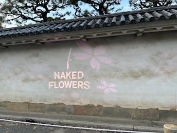 『NAKED FLOWERS 2023 桜 世界遺産・二条城』に投稿された画像（2023/4/1）