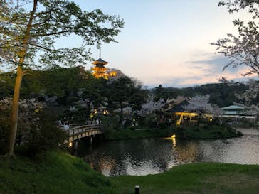 三溪園に投稿された画像（2023/4/1）