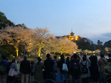 三溪園に投稿された画像（2023/4/1）