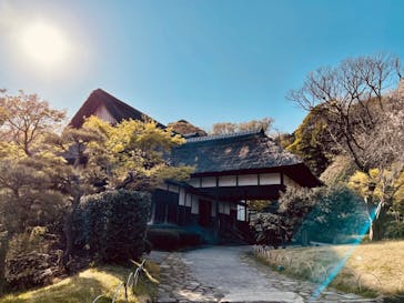 三溪園に投稿された画像（2023/4/1）