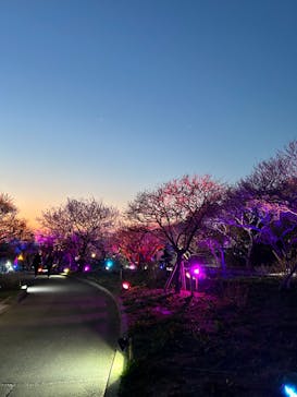 せんだい農業園芸センター　みどりの杜に投稿された画像（2023/4/1）