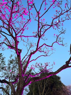 せんだい農業園芸センター　みどりの杜に投稿された画像（2023/4/1）