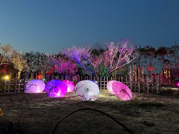 せんだい農業園芸センター　みどりの杜に投稿された画像（2023/4/1）