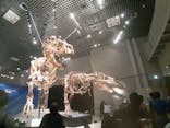 特別展「恐竜博2023」に投稿された画像（2023/4/1）