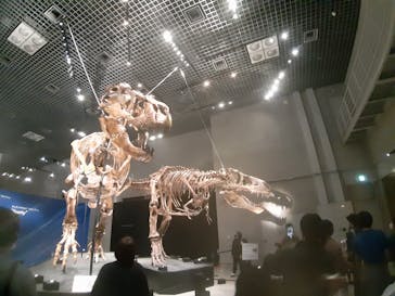 特別展「恐竜博2023」に投稿された画像（2023/4/1）