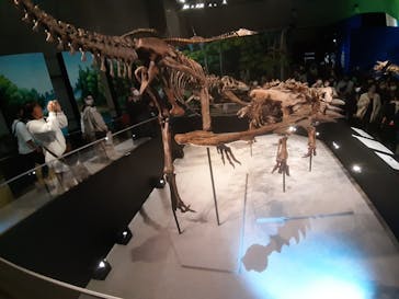 特別展「恐竜博2023」に投稿された画像（2023/4/1）