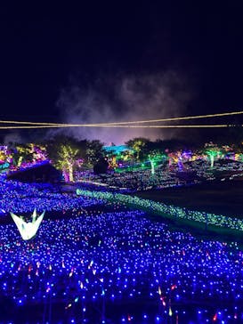 伊豆ぐらんぱる公園に投稿された画像（2023/4/1）
