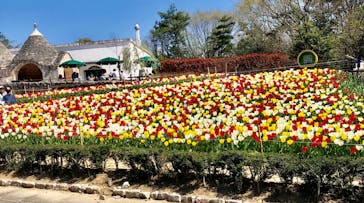 野外民族博物館 リトルワールドに投稿された画像（2023/4/1）