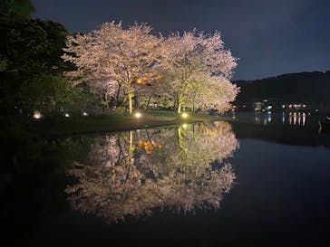 三溪園に投稿された画像（2023/4/1）