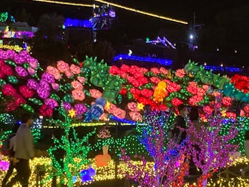 伊豆ぐらんぱる公園に投稿された画像（2023/4/1）