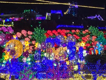 伊豆ぐらんぱる公園に投稿された画像（2023/4/1）