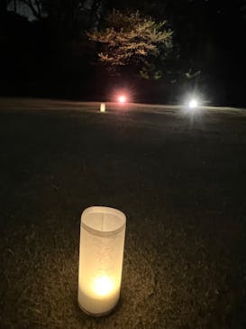 NAKED 桜の新宿御苑 2023に投稿された画像（2023/4/1）