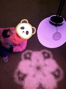 NAKED 桜の新宿御苑 2023に投稿された画像（2023/4/1）