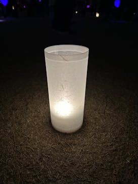 NAKED 桜の新宿御苑 2023に投稿された画像（2023/4/1）