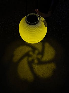 NAKED 桜の新宿御苑 2023に投稿された画像（2023/4/1）