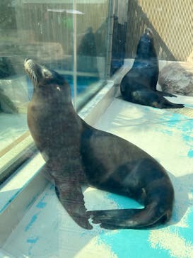 サンシャイン水族館に投稿された画像（2023/4/1）