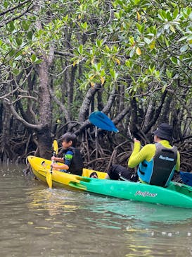 カヤックサービスfree suits（フリースーツ）石垣に投稿された画像（2023/4/1）