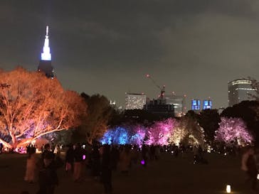 NAKED 桜の新宿御苑 2023に投稿された画像（2023/4/1）