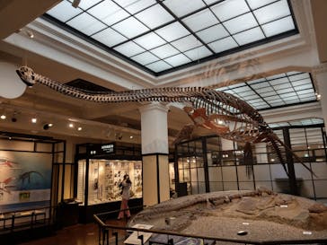 国立科学博物館に投稿された画像（2023/4/1）