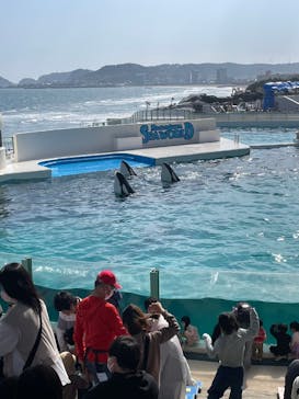 鴨川シーワールドに投稿された画像（2023/4/1）